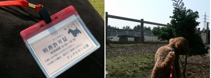05.11.05-4.jpg